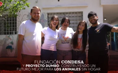 Fundación Condesa y Proyecto Dumbo: construyendo un futuro mejor para los animales sin hogar